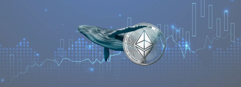 Arthur Hayes celebra que Ethereum se acerque a los $4000 mientras las instituciones se lanzan a invertir