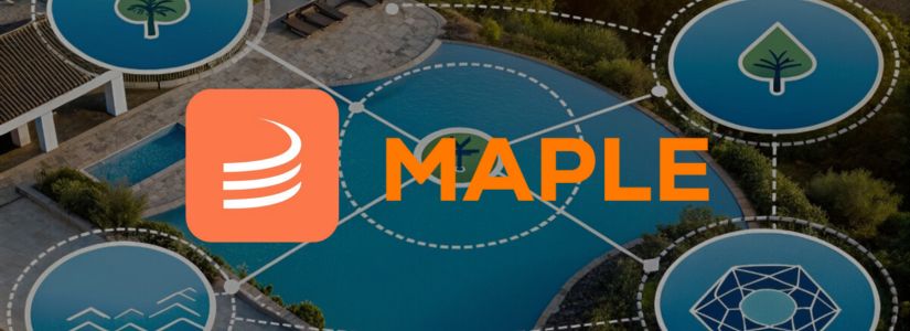 ¿Cómo funciona Maple Finance?