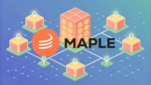 Maple Finance: Donde Blockchain satisface las necesidades reales de financiación