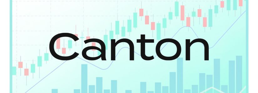 ¿Qué es Canton Coin?