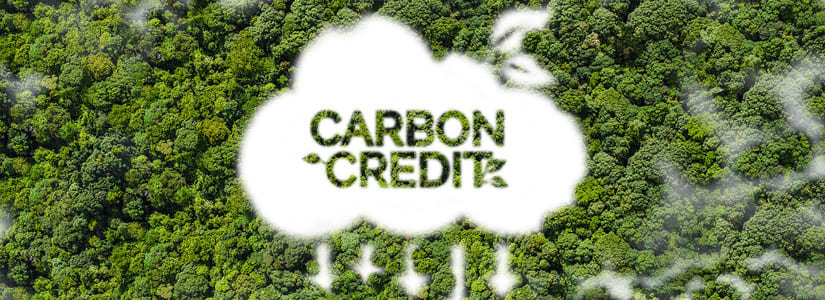 Kinexys jpmorgan carbon credtis