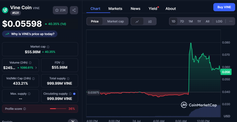 Vine coin memecoin