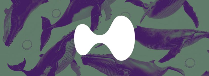 Hyperliquid Registra un Crecimiento Mensual del 47% en Julio y Mantiene su Liderazgo como el Principal DEX en Perpetuos