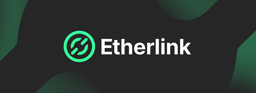 Imagen de Etherlink