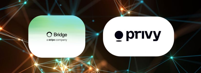 La Nueva y Misteriosa Blockchain de Stripe Podría Competir con Ethereum