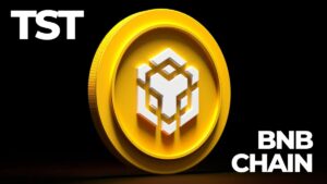 El Token "Tutorial" TST de BNB Chain Bajo Crítica Tras Venta de $30,000 por Parte del Desarrollador