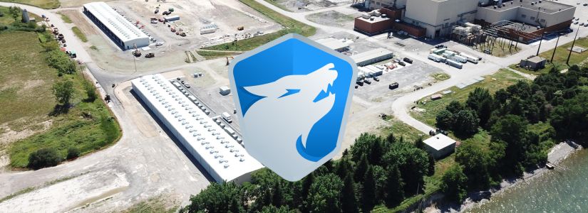 Google apuesta fuerte por el minero de Bitcoin TeraWulf: Respaldo de $1.8B y participación del 8%