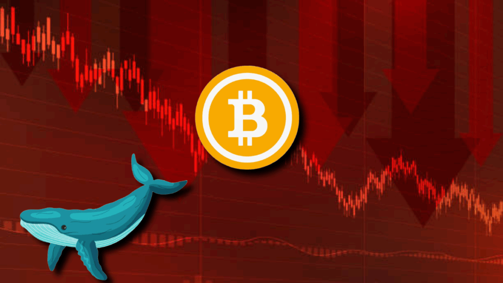 Ballenas Venden 30.000 Bitcoins en 6 Días, Provocando Retroceso del Mercado