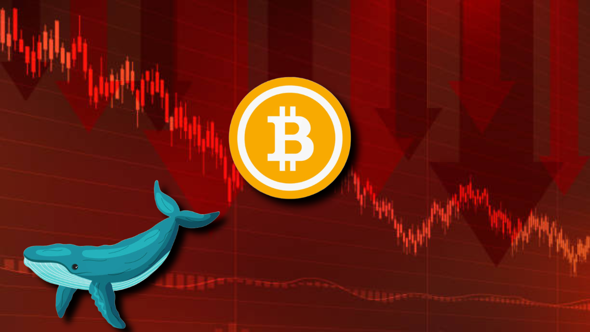 Ballenas Venden 30.000 Bitcoins en 6 Días, Provocando Retroceso del Mercado