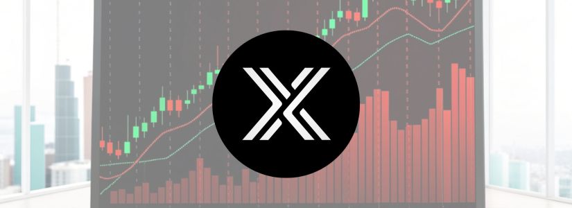 ¿Qué es el Token IMX?