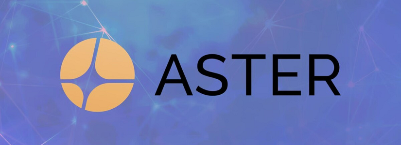Imagen de Aster