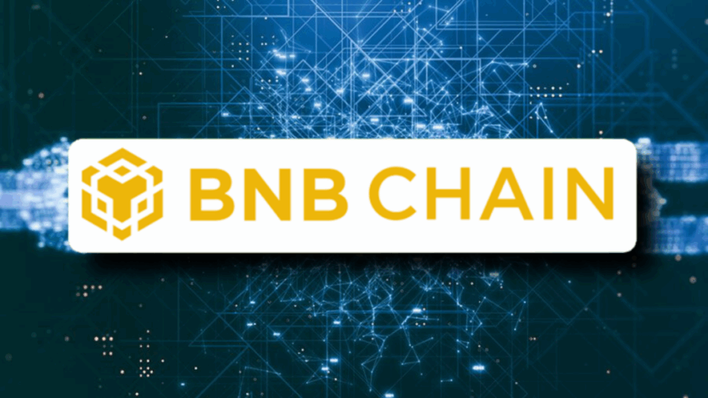 Validadores De BNB Chain Proponen Reducción Del 50% En Tarifas De Gas Para Impulsar La Actividad