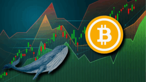 Datos On-Chain Revelan Que Dirección De Bitcoin De $50M Movió Fondos Tras 13 Años De Inactividad