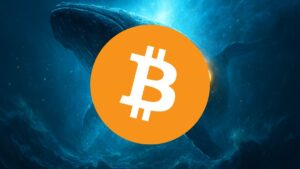 Otra Bitcoin Whale Despierta: Transfiere 1.000 BTC por Primera Vez Desde 2014