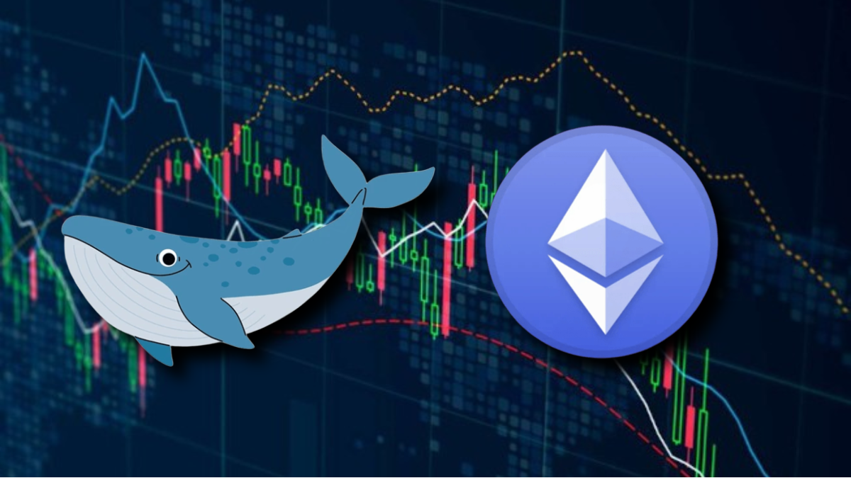 Ballena de la ICO de Ethereum Transfiere Repentinamente 150,000 ETH a Dirección de Staking