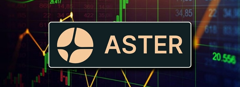 Imagen de Aster