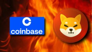 Usuario de Coinbase Sorprende al Mercado Con Quema Masiva de 140 Millones de Shiba Inu en Una Sola Transacción