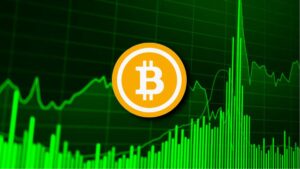 El Mercado Cripto Resurge con Fuerza: Bitcoin en $113.000 y las Altcoins se Disparan