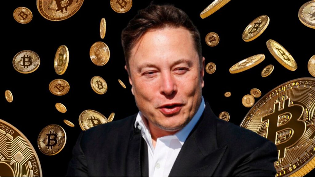 Elon Musk Desata Debate Con Nuevo Apoyo a Bitcoin Sobre Fiat
