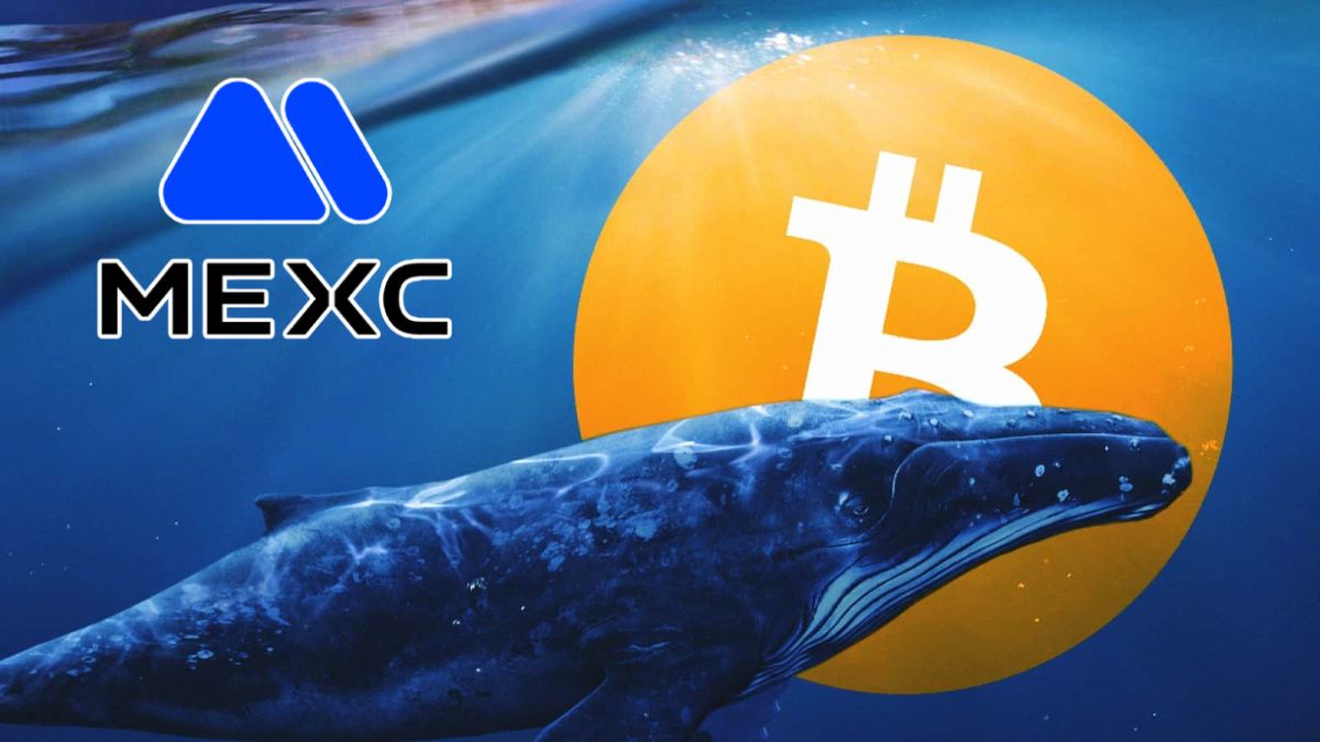 MEXC Finalmente Devuelve $3 Millones a The White Whale Tras una Disputa por Fondos Bloqueados