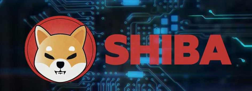 Shiba Inu