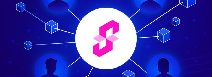 ¿Qué es Succinct Labs?