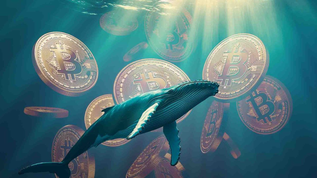 Ballenas de Bitcoin Abren Posiciones Cortas Con Apalancamiento de 40X Antes del Anuncio de Trump