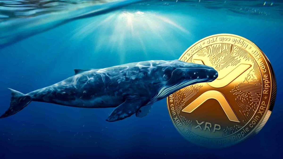 La Confianza de las Ballenas Aumenta: Una Long de XRP de $1.27 Millones Impulsa al Mercado al Alza