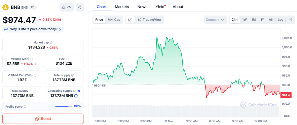 BNB mantiene estabilidad a pesar de recientes ligeras caídas, cotizando en $974.47 con una baja del 0.85% en las últimas 24 horas