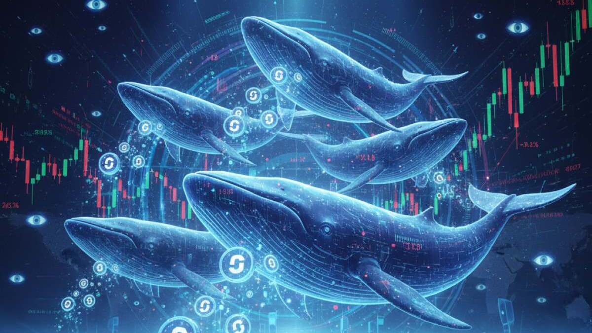 Las ballenas de Chainlink (LINK) han acumulado aproximadamente 4 millones de tokens en los últimos días, según datos compartidos hoy por Ali Charts en X