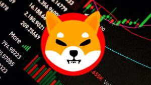 Actualización de Privacidad de Shibarium Impulsa 4% el Precio de SHIB
