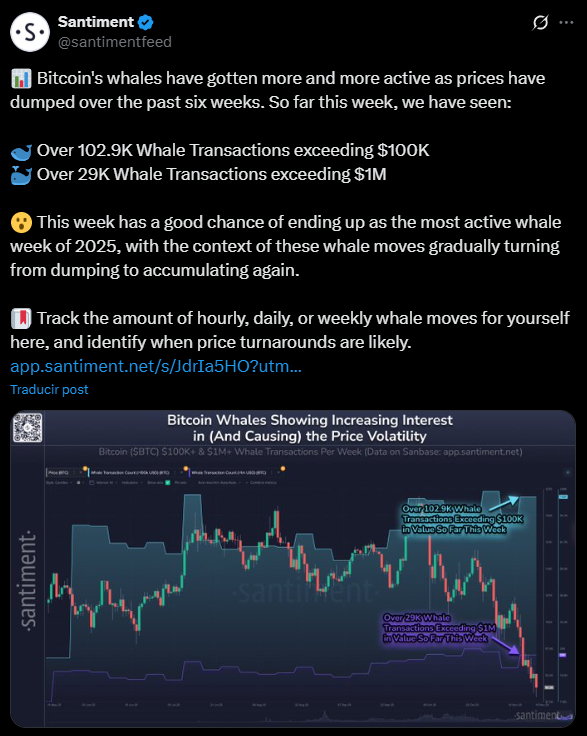 BITCOIN BALLENAS WHALES BTC
