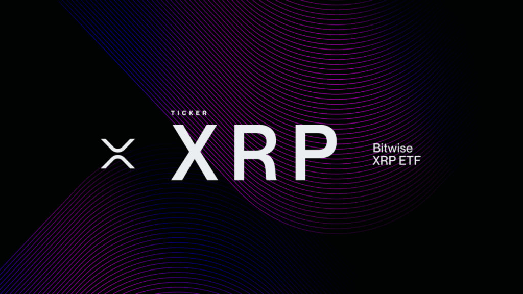 Bitwise Supera a Franklin Templeton como Líder de ETFs de XRP Tras una Entrada de 100M de RLUSD