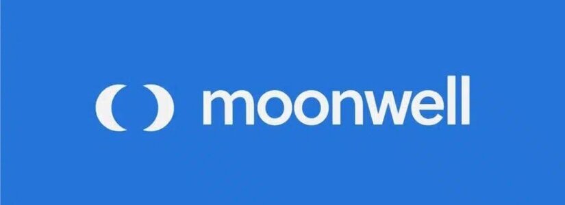 moonwell post