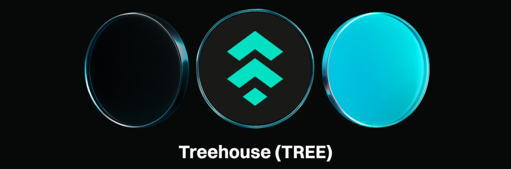 treehouse tree