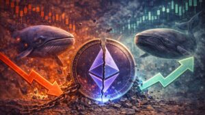 Las pérdidas en Ethereum se profundizan: 40% del suministro está en rojo y las ballenas se dividen entre depósitos a exchanges y compras.