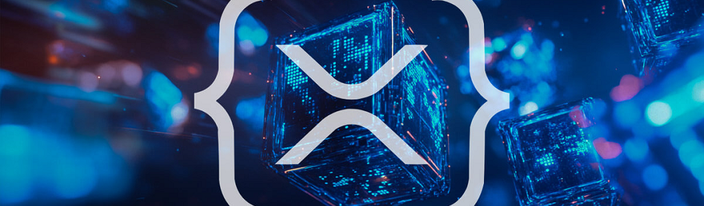 El CTO de Ripple, David Schwartz, ha abierto el XRPL Hub