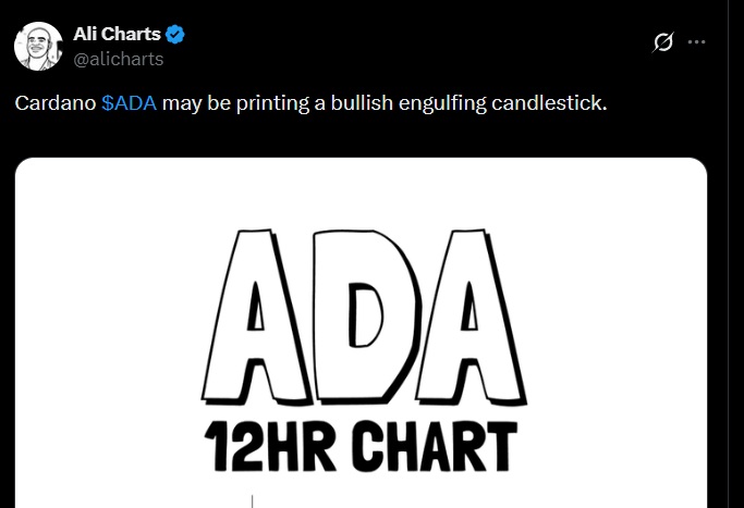 cardano ada chart 12 ali martinez