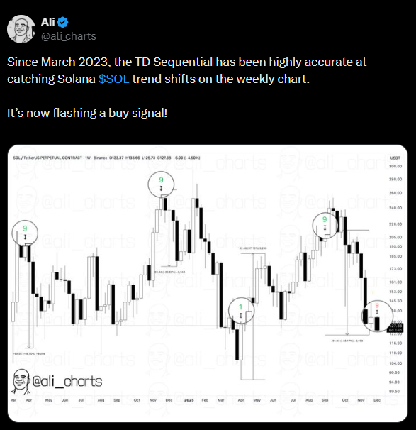 ali martinez solana sol