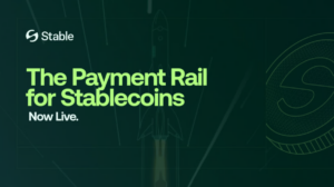 Se Lanzó la Mainnet de Stable con un Token Nativo y Transacciones Basadas en USDT