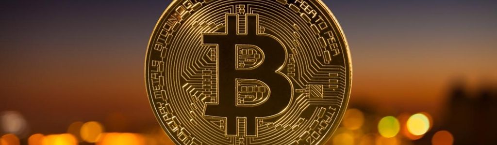 El interés de búsqueda de Bitcoin cayó cerca de 50% interanual