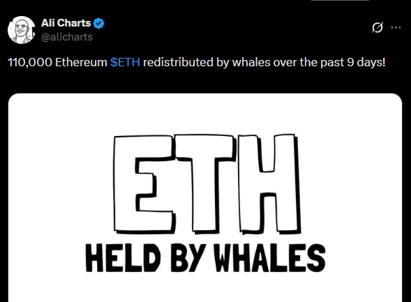 ethereum eth ali martinez