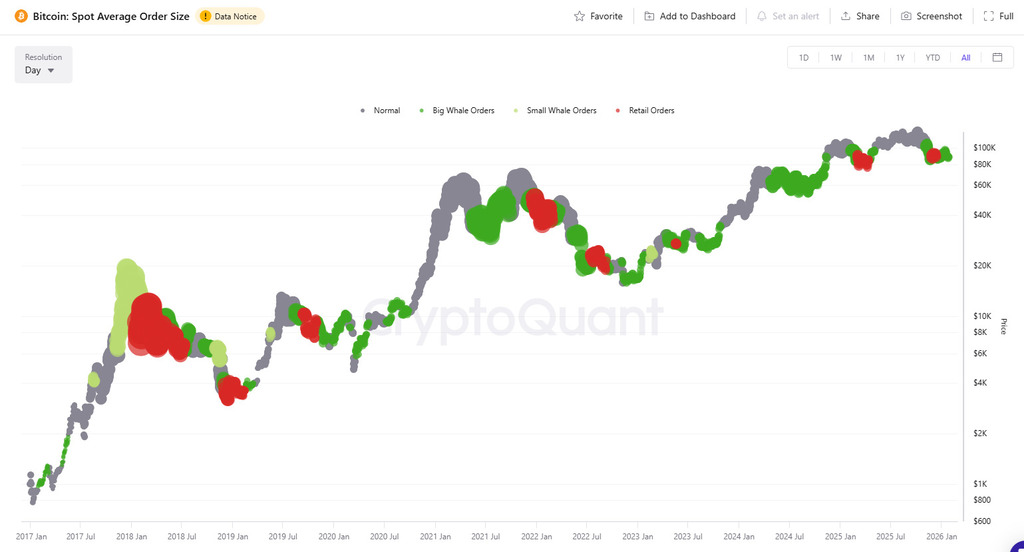 Bitcoin whales ballenas