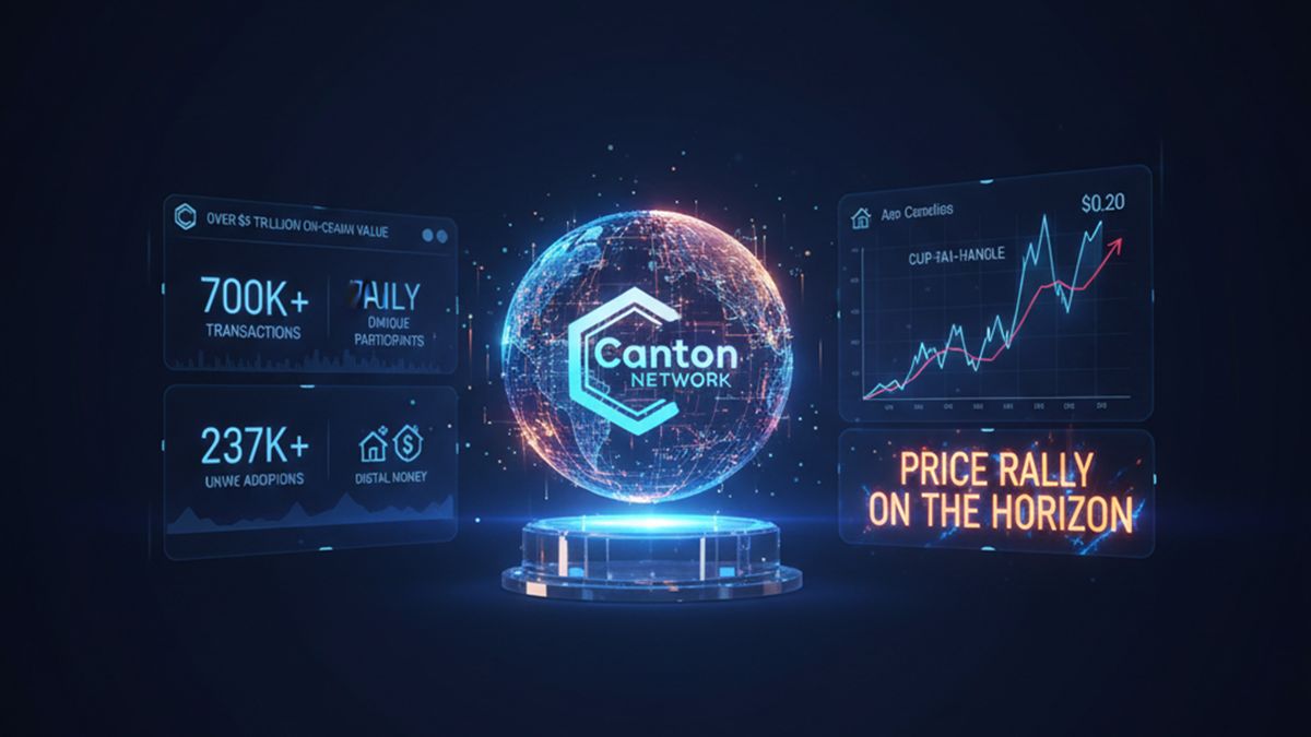 rally de precios de Canton Network-