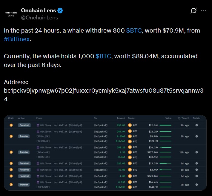 Bitcoin whale ballena