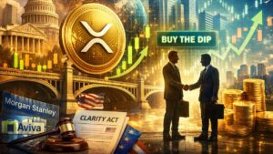 El Puente entre el "Dinero Viejo" y el Nuevo: Cómo las Instituciones están usando Ripple para Comprar el Dip
