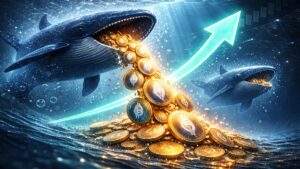 Bitcoin vuelve a la zona de entrada de ballenas de octubre de 2024 cerca de $69,000 mientras grandes holders acumulan, con alertas de rebote trampa y soportes clave.