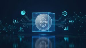 stablecoin nativa USDCBL de Decibel-