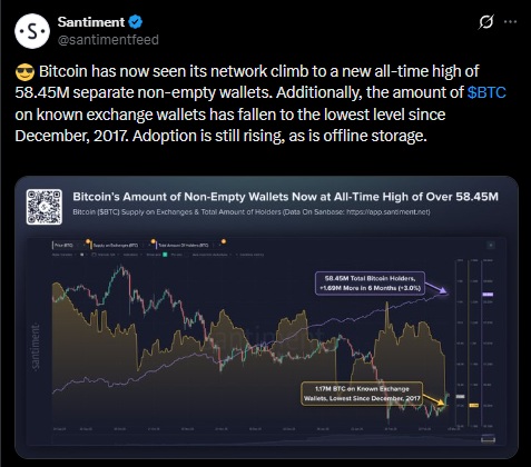 bitcoin santiment wallets