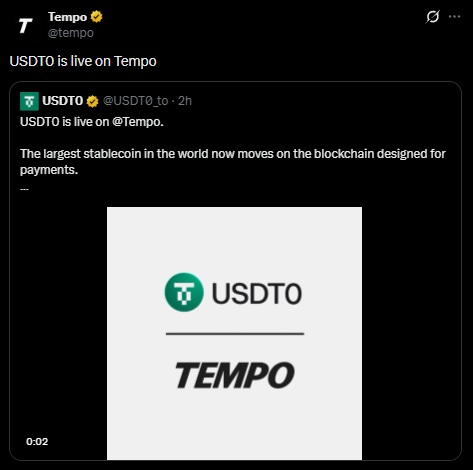 tempo usdto
